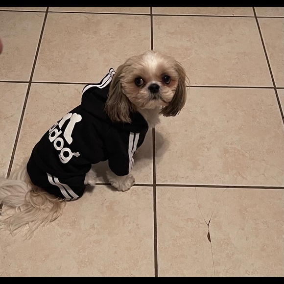 Meet your Posher, Jacksyn - Picture 12 of 16